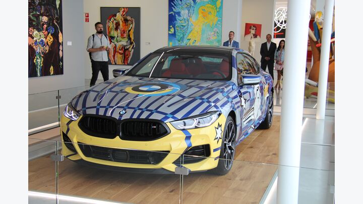 The X8