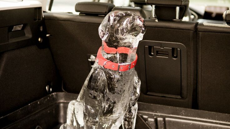© FORD_ICE_DOG_1