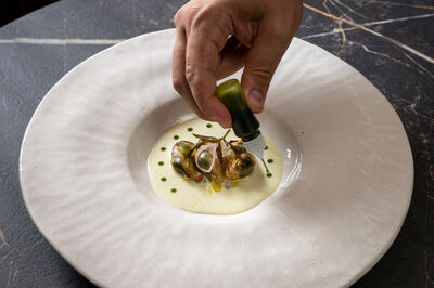 Europa, Kroatien, Kvarner Bucht, Insel Krk, Malinska: Hotel VILA ROVA, Chef Marin Ple?e. FOOD: *MIESMUSCHELN* marinierte Miesmuscheln / Ajo Blanco mit Lorbeer / Rosmarinöl / ?lahtina-Weingelee / geröstete Pinienkerne